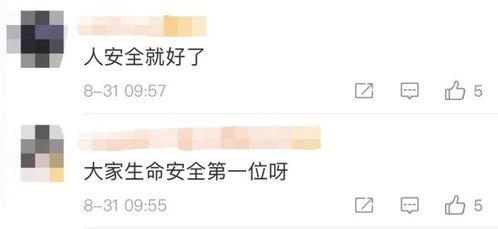 乐山最新爆料新闻视频,揭秘神秘事件背后的真相  第3张