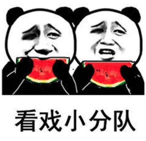 娱乐吃瓜群众,揭秘明星幕后故事，吃瓜群众狂欢时刻  第3张