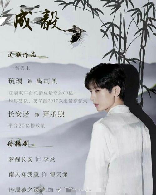 吃瓜娱乐圈成毅是谁,吃瓜娱乐圈的低调实力派  第2张